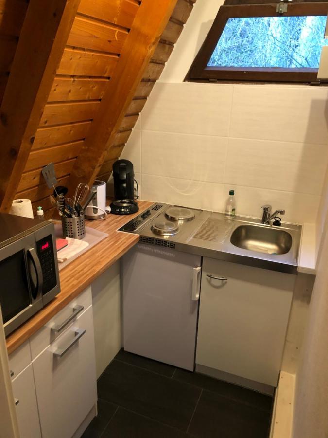 Ferienhaeuser Am Waldschloesschen Lautenthal Exterior foto