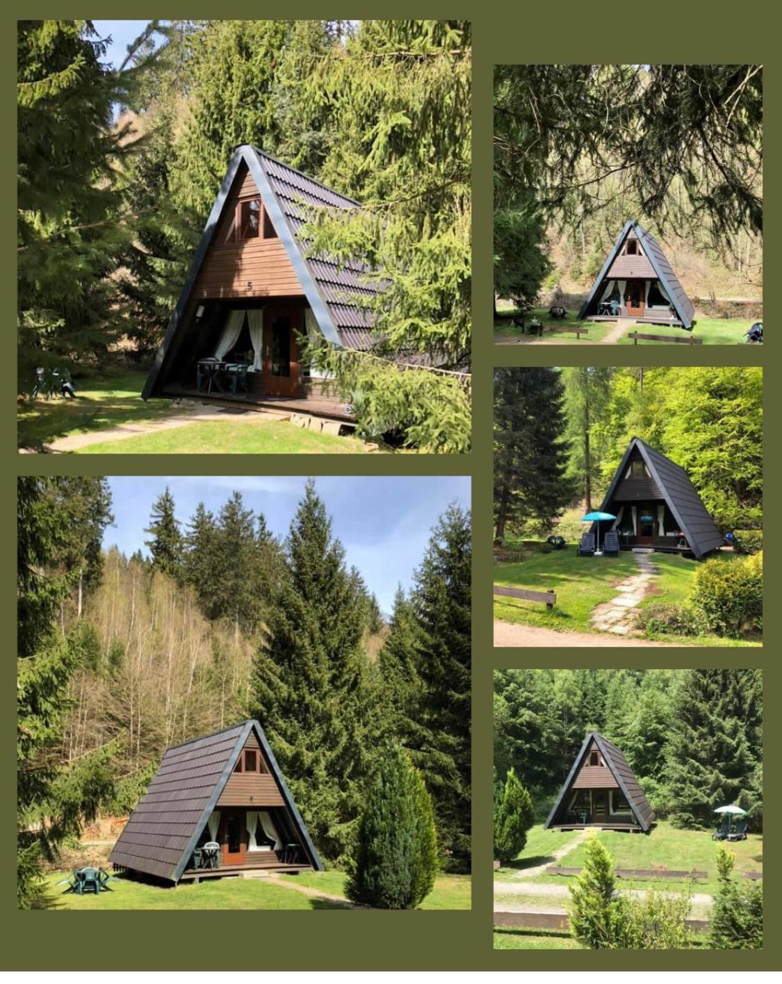 Ferienhaeuser Am Waldschloesschen Lautenthal Exterior foto