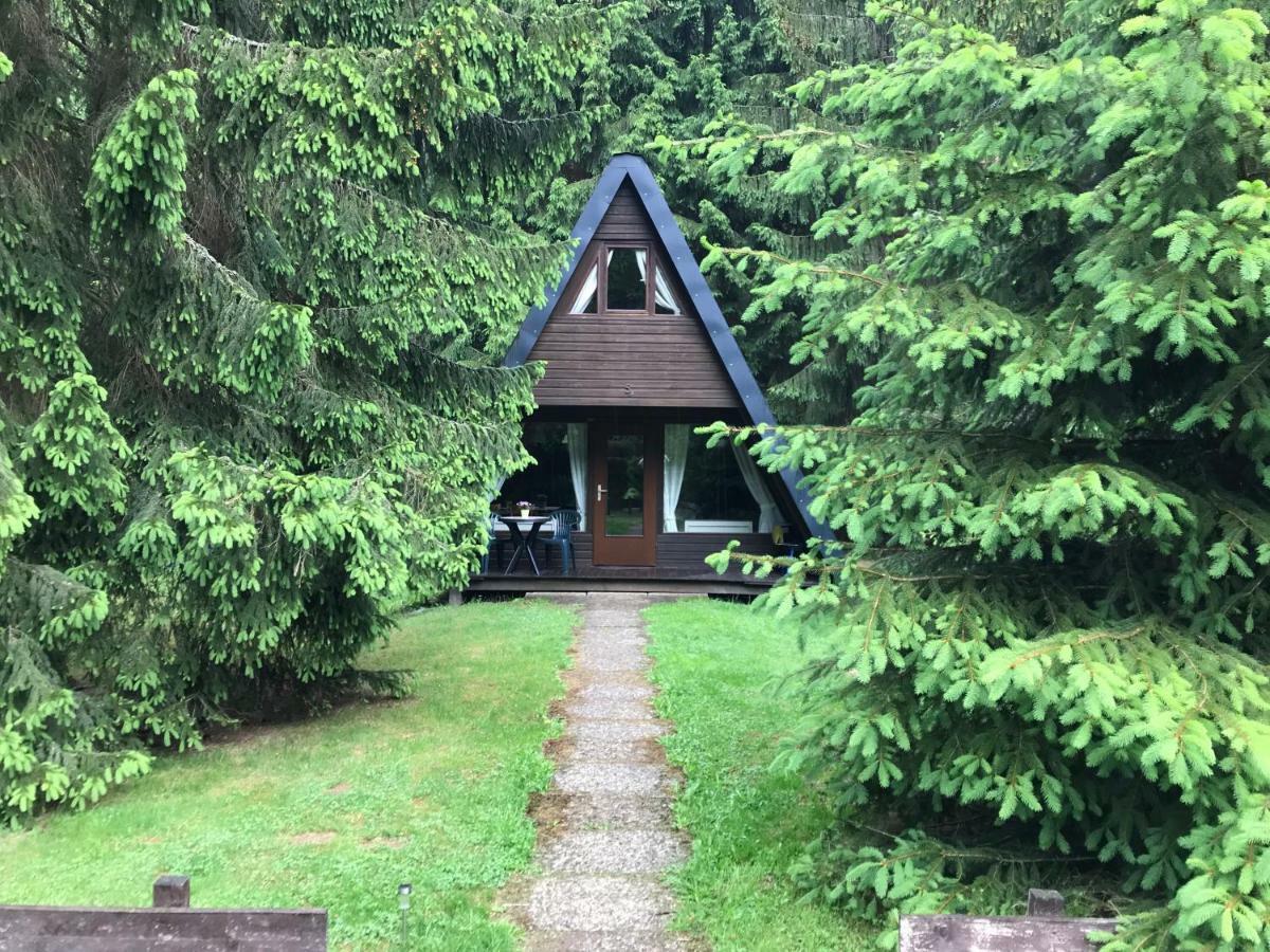 Ferienhaeuser Am Waldschloesschen Lautenthal Exterior foto