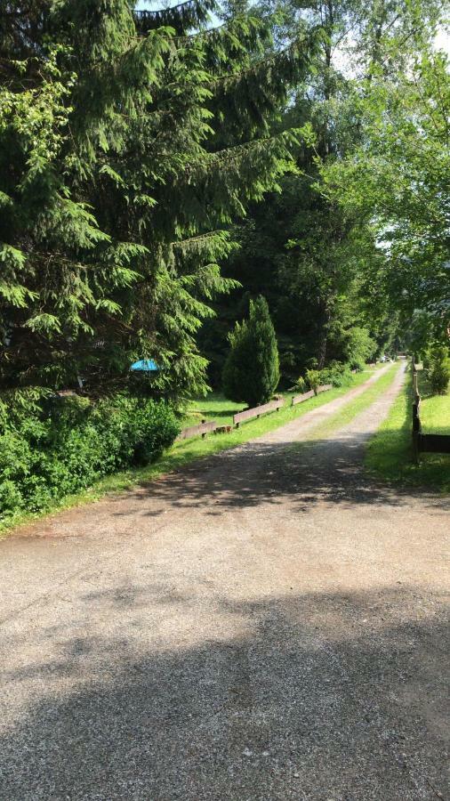 Ferienhaeuser Am Waldschloesschen Lautenthal Exterior foto